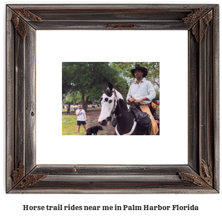 horse trail rides near me in Palm Harbor, Florida